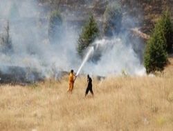 Orman kundakçıları yakalandı