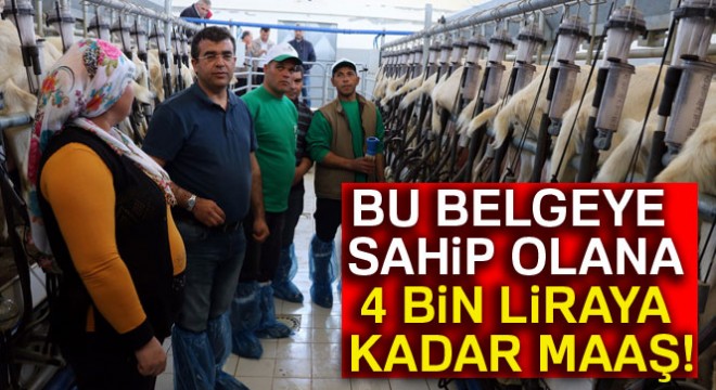4 bin lira maaşla çoban yetiştiriyorlar