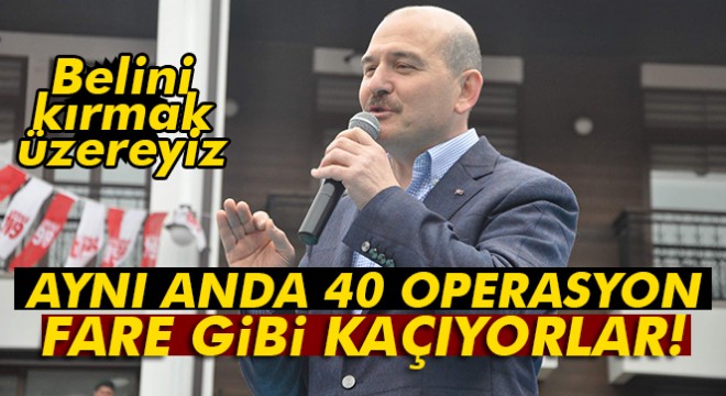 Bakan Soylu:  Dağ fareleri olarak kaçıyorlar 