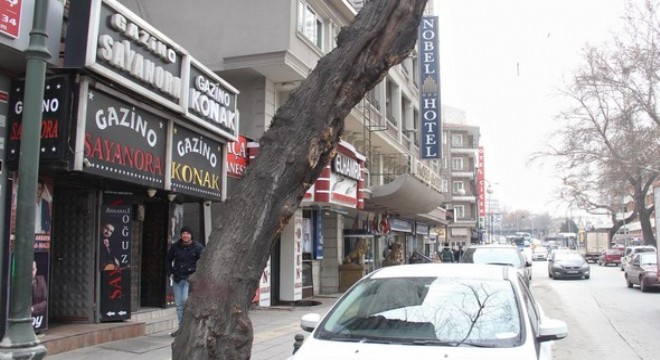 Pavyonlara ‘galeri’ çözümü